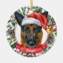 Search for german shepherd ornaments Watercolor