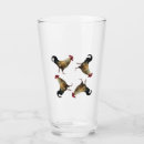 Search for rooster tumblers Bird