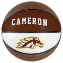 Search for baseballs basketballs College