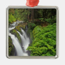 Search for olympic national park ornaments Environment