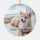 Search for two cats ornaments Dog