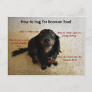 Search for horizontal postcards Dog