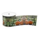 Search for fall pumpkins ribbon Autumn