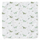 Search for dinosaur bandanas Fun
