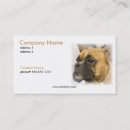 Search for boxer dog business cards mens underwear