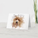 Search for labradoodle birthday cards Puppy