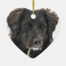 Search for black lab ornaments Pet