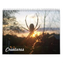 Search for ladybug calendars Wildlife