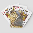 Search for pig playing cards Adorable
