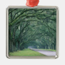 Search for savannah ornaments Street