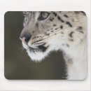 Search for leopard mousepads Outdoors