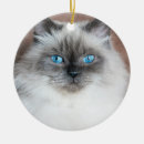 Search for himalayan cat ornaments Pet
