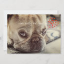Search for french sympathy cards Dog