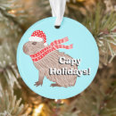 Search for capybara ornaments Animal