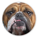 Search for dog lover knobs and pulls Animals