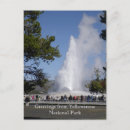 Search for yellowstone postcards Old faithful