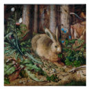 Search for botanical illustration posters Forest