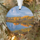 Search for jackson hole ornaments Mountain range