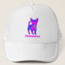 Search for chihuahua dogs baseball hats Animal