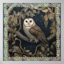 Search for barn owl posters Elegant