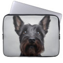 Search for laptop sleeves Fun