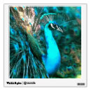 Search for peacock wall decals peafowl