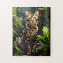 Search for bengal cat gifts Animal
