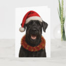 Search for giant christmas cards Dog