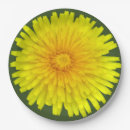 Search for weed paper plates Dandelion