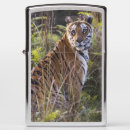 Search for hunting lighters Wildlife
