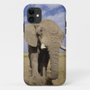 Search for elephant iphone cases Mammal