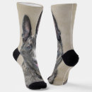 Search for dutch shepherd clothing Hollandse herder