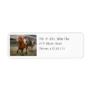 Search for preakness Equestrian