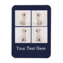 Search for instagram magnets Photography