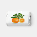 Search for florida orange blossom Tropical