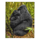 Search for gorilla puzzles Ape