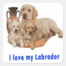 Search for labrador retriever stickers Pets