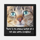 Search for funny cat magnets Humor