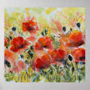 Search for red poppies posters Color