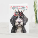Search for portuguese water dog cards Dogs