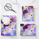 Search for pansy wrapping paper White