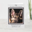 Search for funny dog mothers day cards From the dog