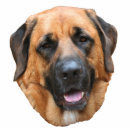 Search for face photo statuettes Animal