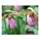 Search for 8x10 posters Flower