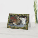 Search for westie christmas cards Pet