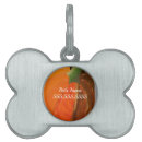 Search for pumpkin pet tags Autumn