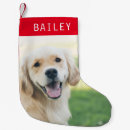 Search for dog christmas stockings Pet photo
