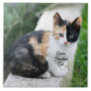 Search for phantom of the opera Cat