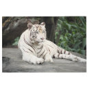Search for white tiger gifts Big cats