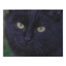 Search for black cat canvas prints Adorable